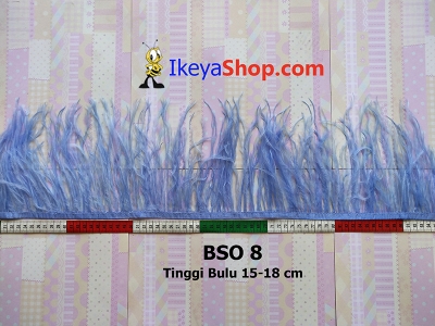 BSO 8  large2
